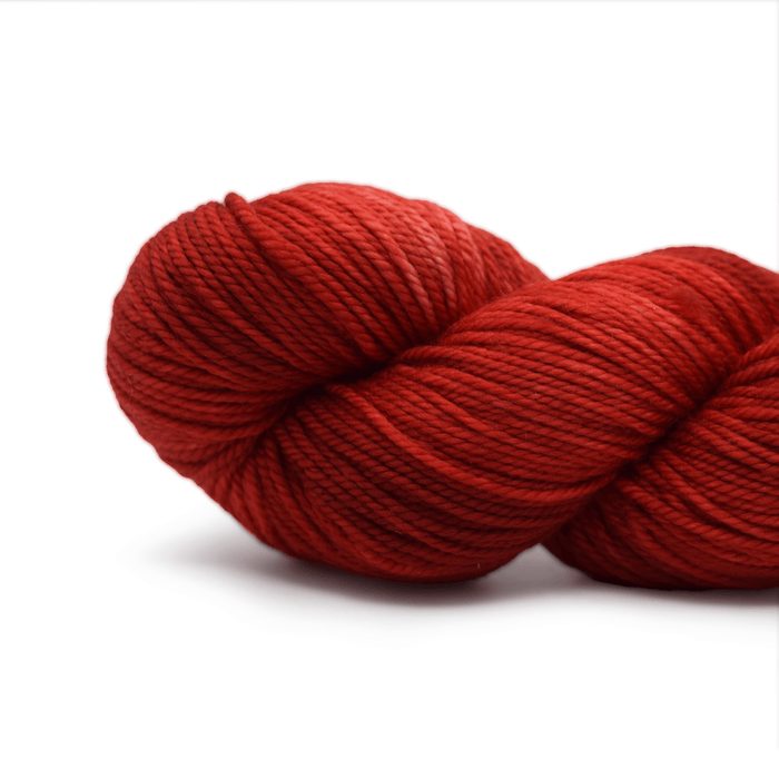 Koigu Winnie - W5160  | Yarn at Michigan Fine Yarns