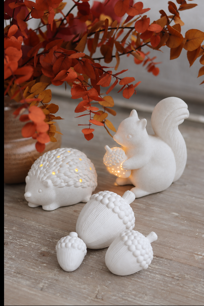 Woodland LED Squirrel & Hedgehog Bundle